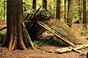 Woodland Survival and Bush Craft Course