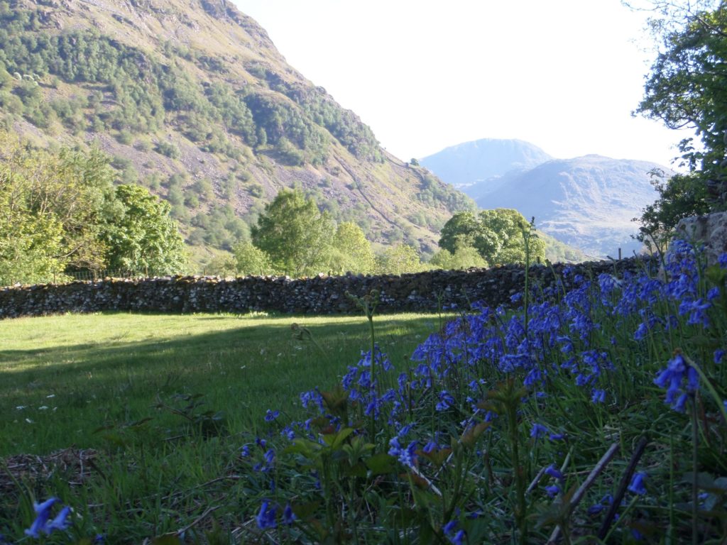 Seatoller Farm Camp Site