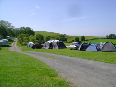 High Fellgate Farm High Fellgate Caravan Park