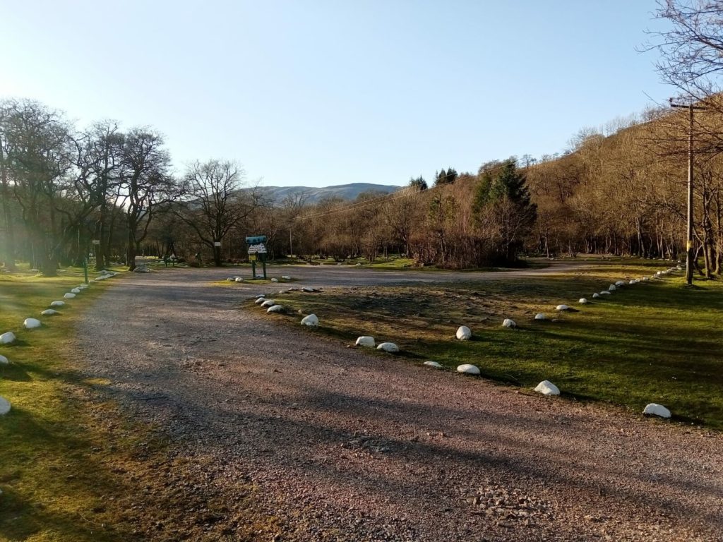 Red Squirrel Campsite