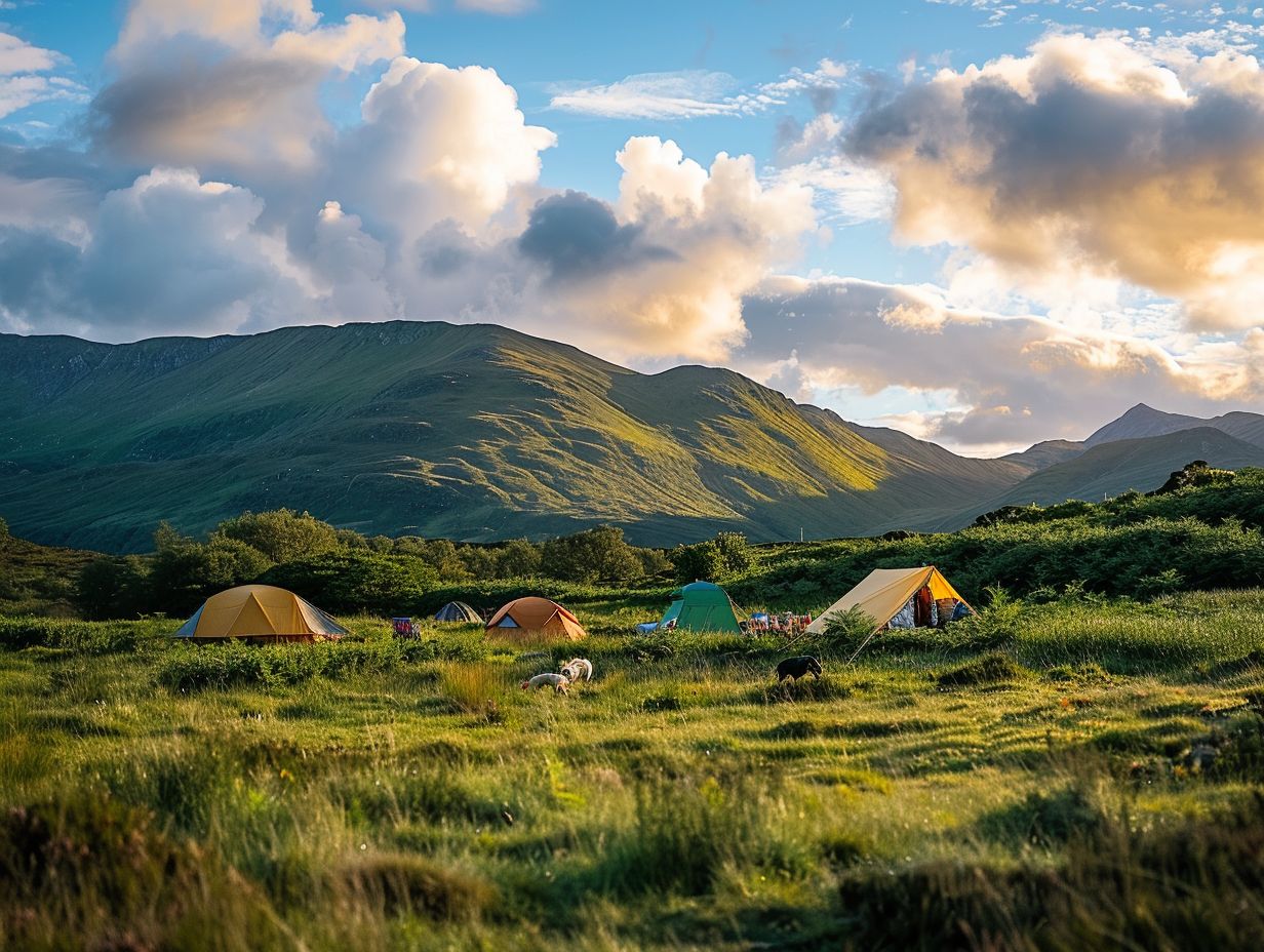 Things to Consider Before Camping with Your Dog in Scotland