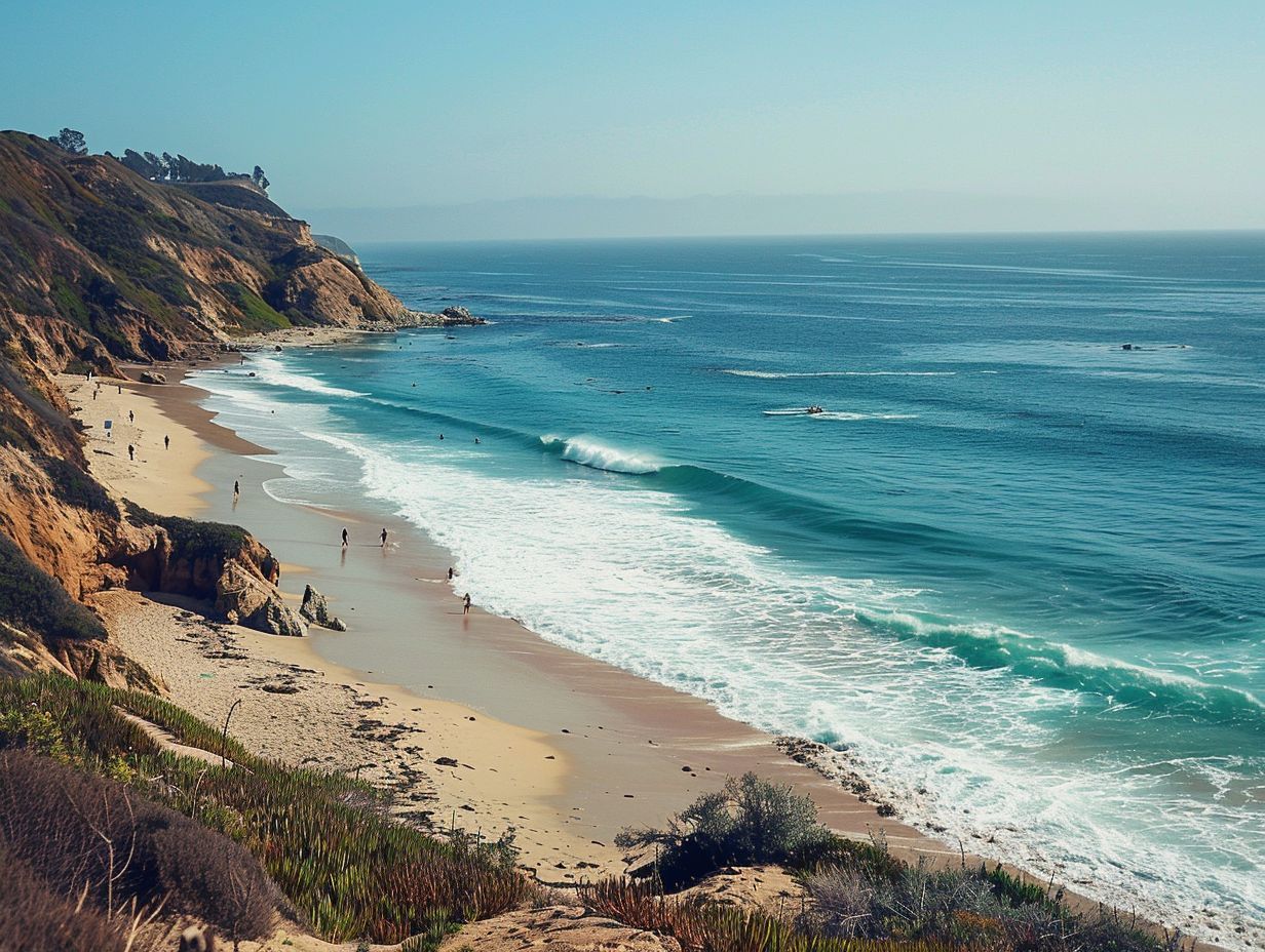  What are the best campsites for surfing enthusiasts? 